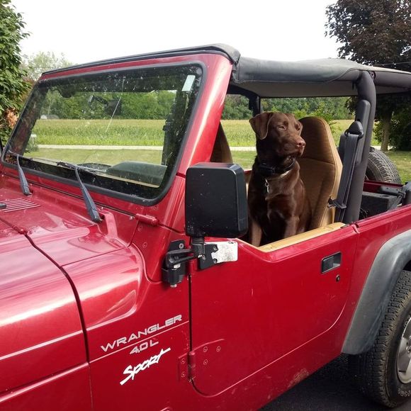 Meet your Posher, Lance - Picture 1 of 1